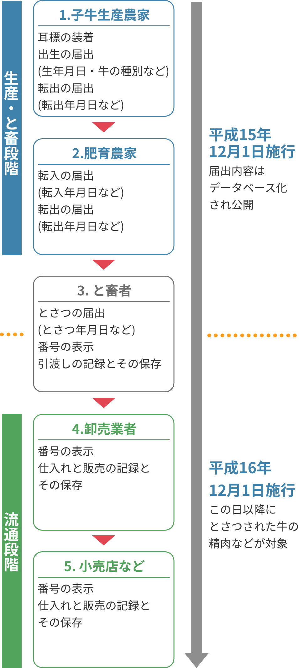 生産・と畜段階 1.子牛生産農家 耳標の装着出生の届出(生年月日・牛の種別など)転出の届出(転出年月日など) 2.肥育農家転 入の届出(転入年月日など)転出の届出(転出年月日など) 平成15年12月1日施行届出内容はデータベース化され公開 3. と畜者 とさつの届出(とさつ年月日など) 番号の表示引渡しの記録とその保存 流通段階 4.卸売業者 番号の表示仕入れと販売の記録とその保存 5.小売店など 番号の表示仕入れと販売の記録とその保存 平成16年12月1日施行この日以降にとさつされた牛の精肉などが対象